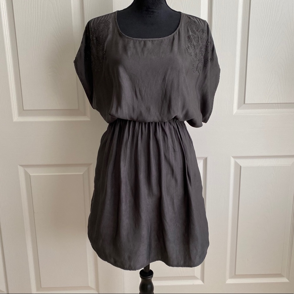 Grey Silk Express Dress